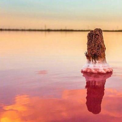 云体育官网截图